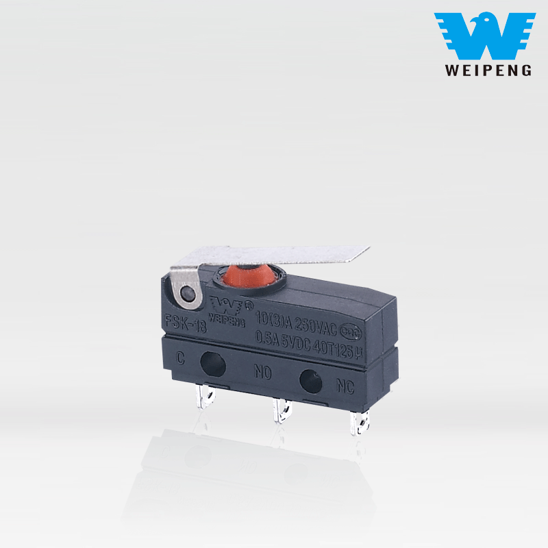 DC2C A1LB Lever ilə suya davamlı mikro açar