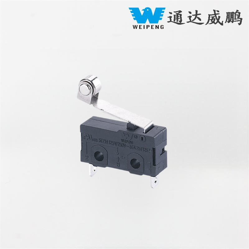 HK-04G-L Toz keçirməz Roller Lever Çırpıcı Mikro Açar