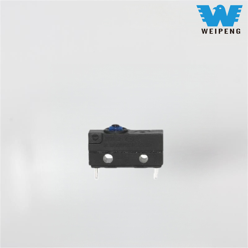 Elektrikli nəqliyyat vasitəsi şarj cihazı kiçik adi suya davamlı mikro keçid