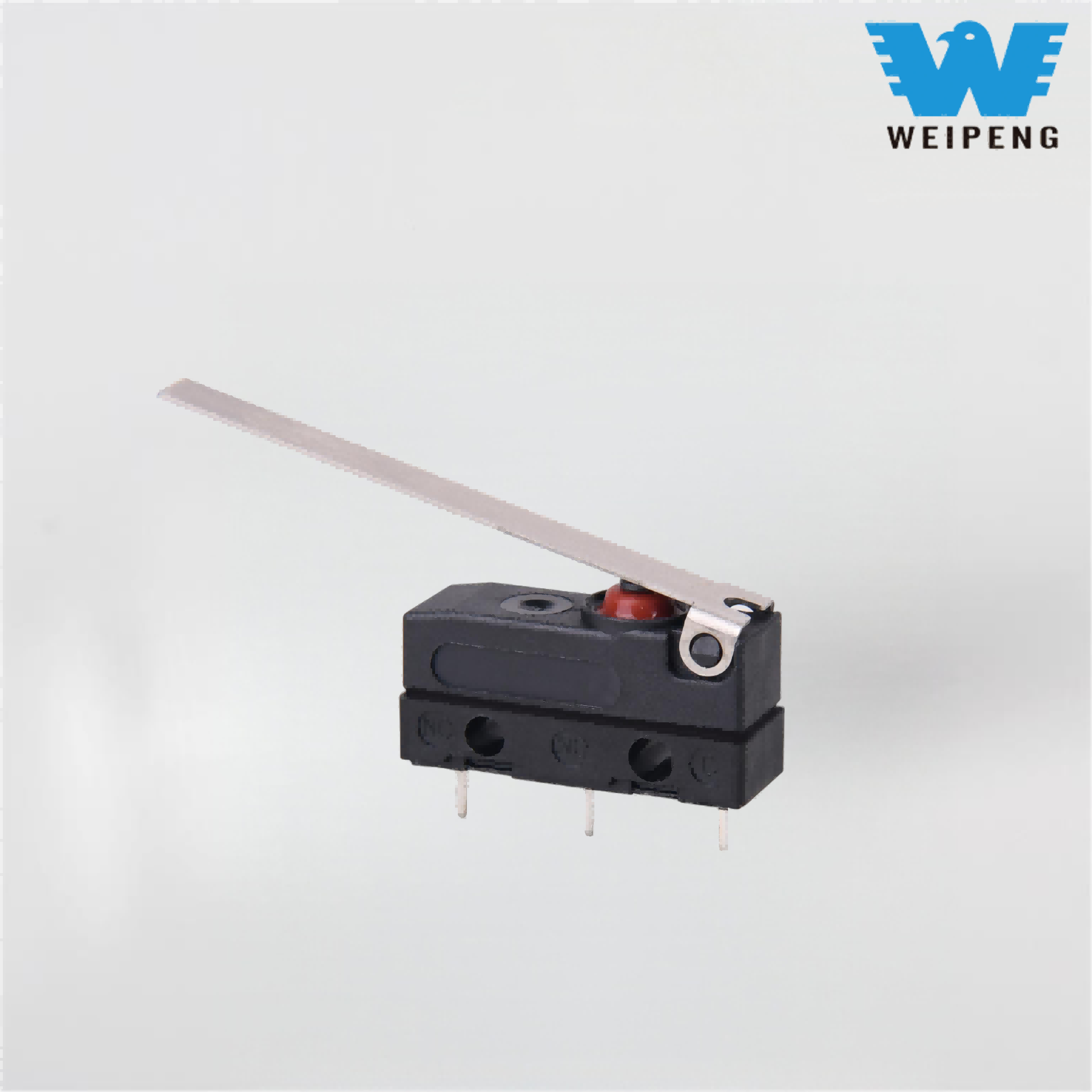 Weipeng Coffee və soya süd istehsalçısı mikro keçid