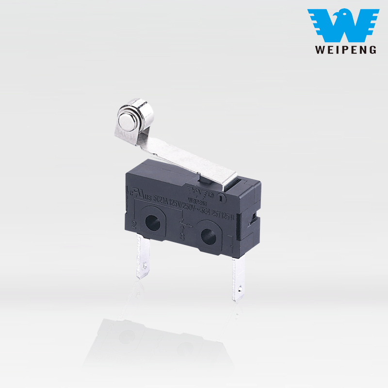 Weipeng Toz keçirməyən 5A 2-Pin Avtomobil Doldurma Xovlu Mikro Açar